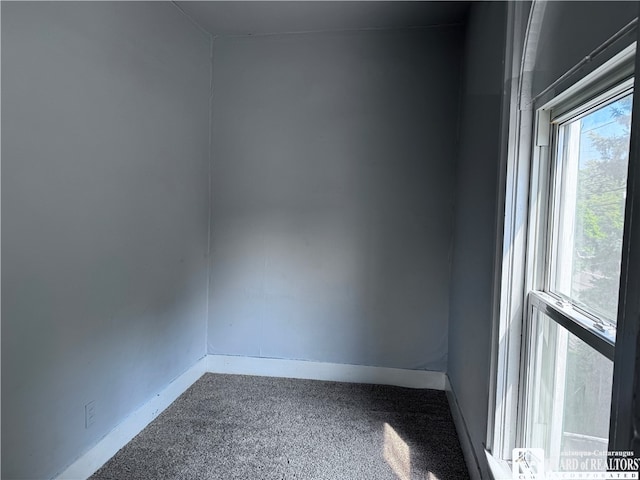 spare room featuring carpet floors