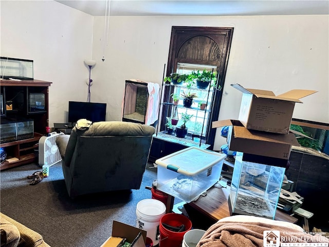 living room with carpet flooring