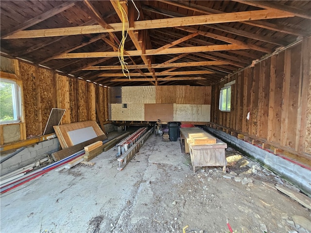 miscellaneous room with vaulted ceiling and a wealth of natural light