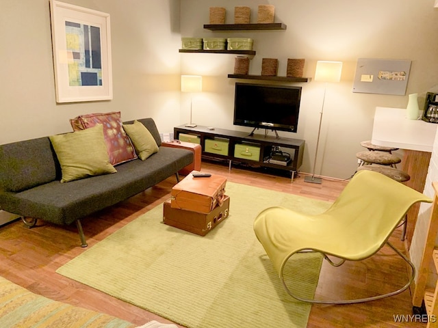 living room with hardwood / wood-style floors