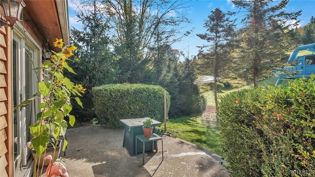 view of yard featuring a patio area