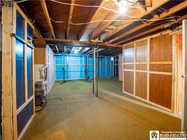 basement featuring carpet flooring