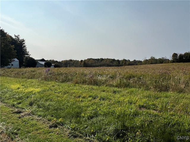 view of landscape featuring a rural view