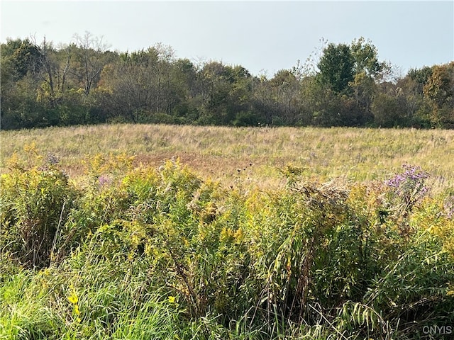 view of landscape