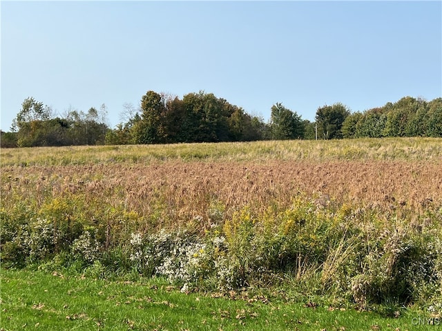 view of local wilderness featuring a rural view