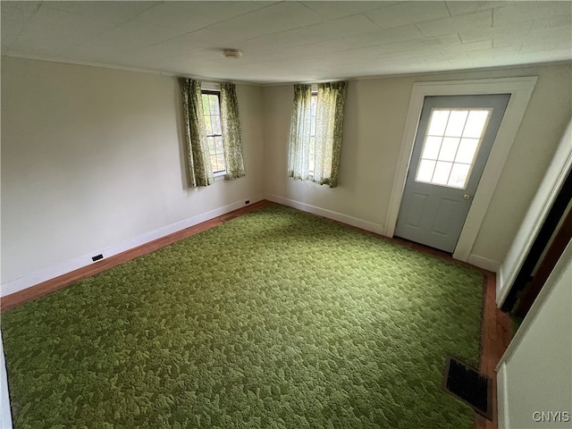 entryway featuring carpet flooring