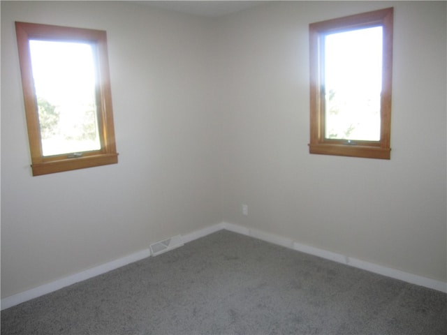 spare room with carpet floors