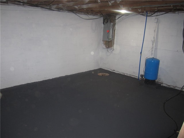 basement with electric panel