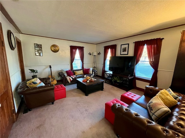 carpeted living room featuring crown molding and a textured ceiling