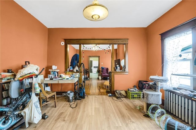 miscellaneous room with light hardwood / wood-style flooring