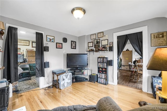 living room featuring wood-type flooring