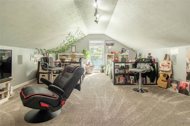 interior space with a textured ceiling and lofted ceiling