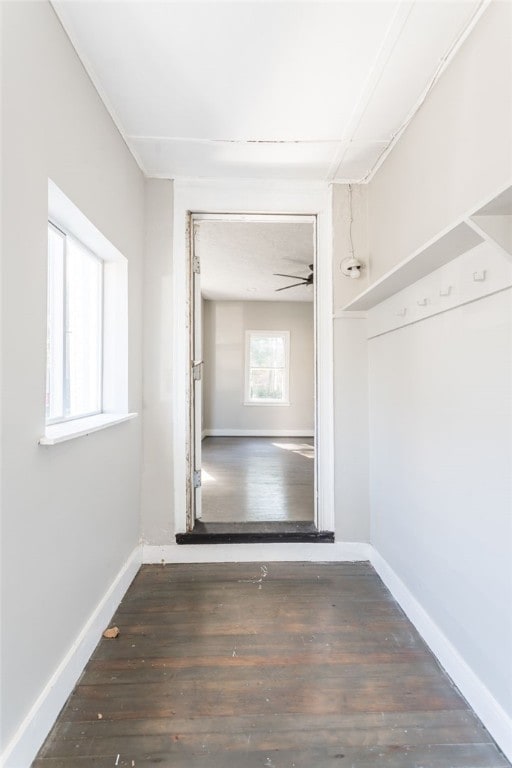 interior space featuring dark hardwood / wood-style floors