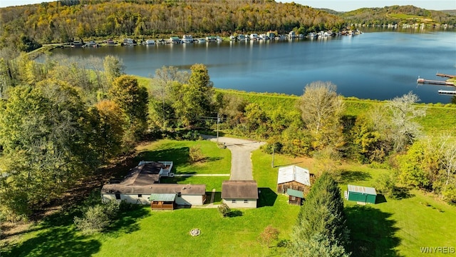 aerial view with a water view