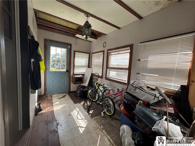 miscellaneous room featuring a wealth of natural light