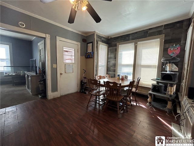 dining area featuring ornamental molding, ceiling fan, dark wood-type flooring, and plenty of natural light