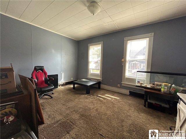 living area with carpet floors