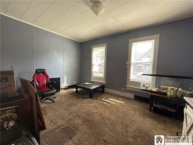 219 E Oak St, Olean, NY 14760 - photo 9