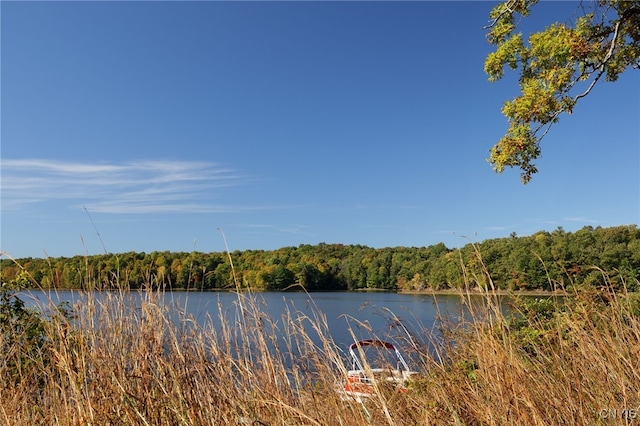 7 Big Is, Morristown, NY 13664 - photo 7