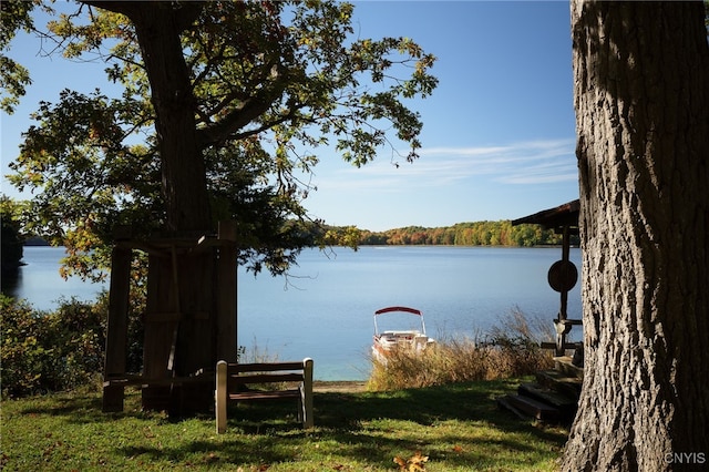 7 Big Is, Morristown, NY 13664 - photo 8