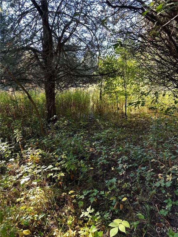 7 Big Is, Morristown, NY 13664 - photo 37