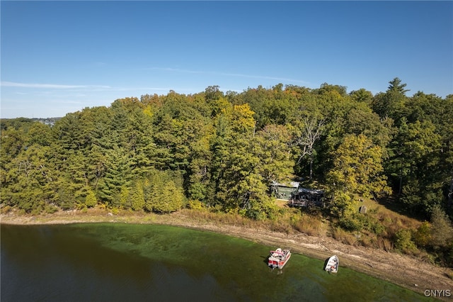 7 Big Is, Morristown, NY 13664 - photo 12