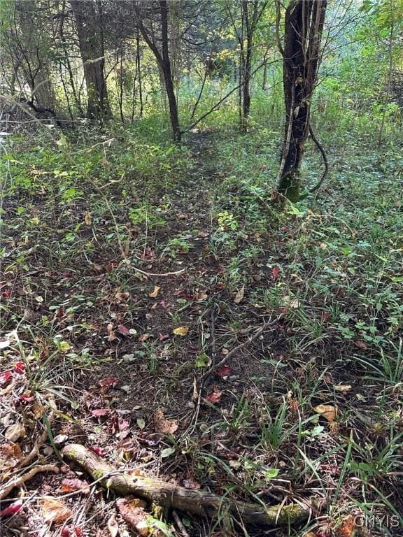7 Big Is, Morristown, NY 13664 - photo 33