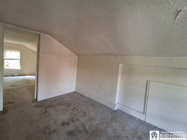 additional living space with a textured ceiling, carpet, and lofted ceiling