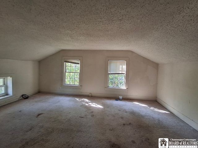 bonus room with light carpet, a textured ceiling, and vaulted ceiling