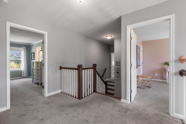 staircase featuring ornamental molding and carpet floors