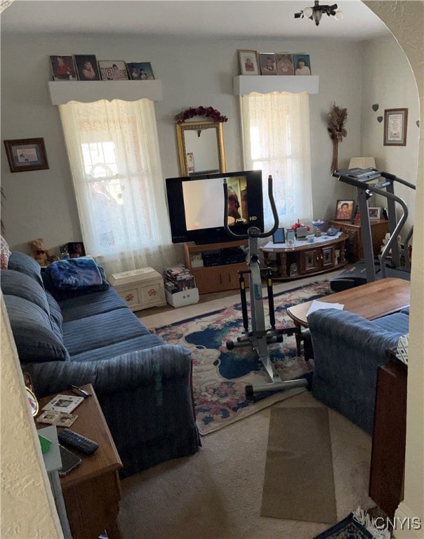 view of carpeted living room