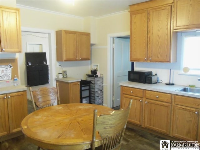 kitchen with sink, ornamental molding, and dark hardwood / wood-style floors