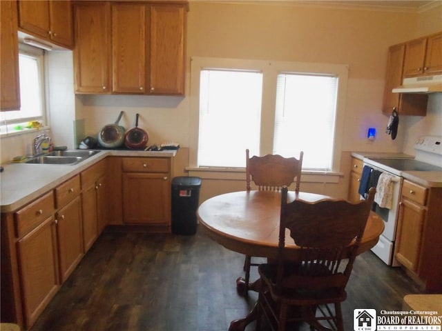 kitchen with dark wood-type flooring, white electric range, sink, and plenty of natural light