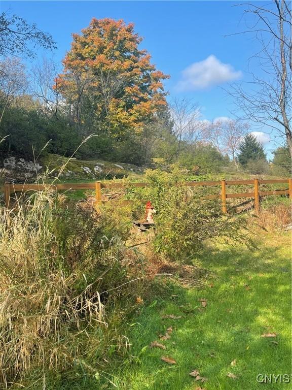 view of yard with a rural view