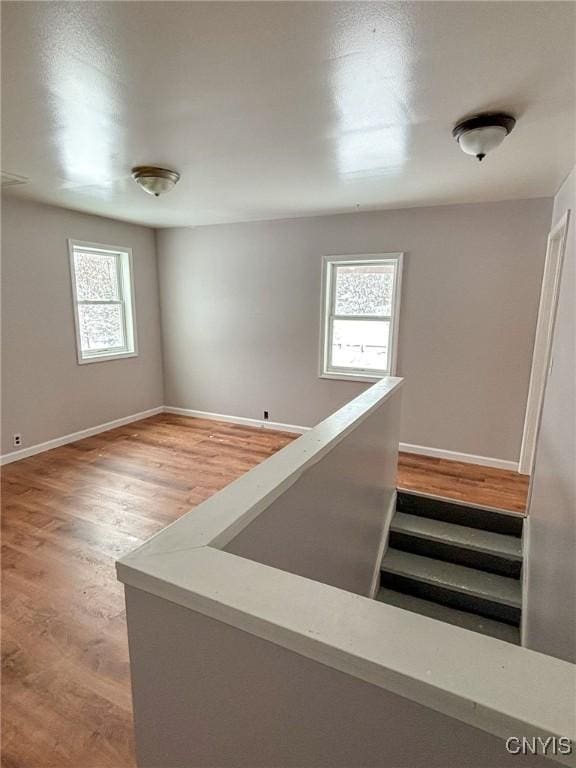 stairway featuring wood-type flooring and a healthy amount of sunlight