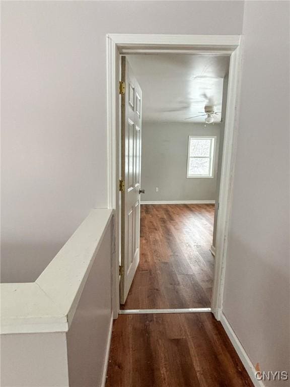 corridor featuring dark hardwood / wood-style flooring