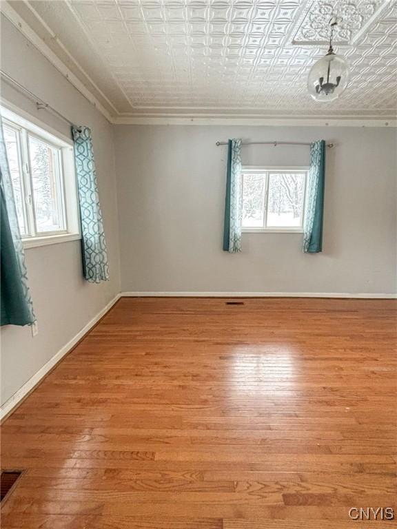 spare room with light wood-type flooring and plenty of natural light