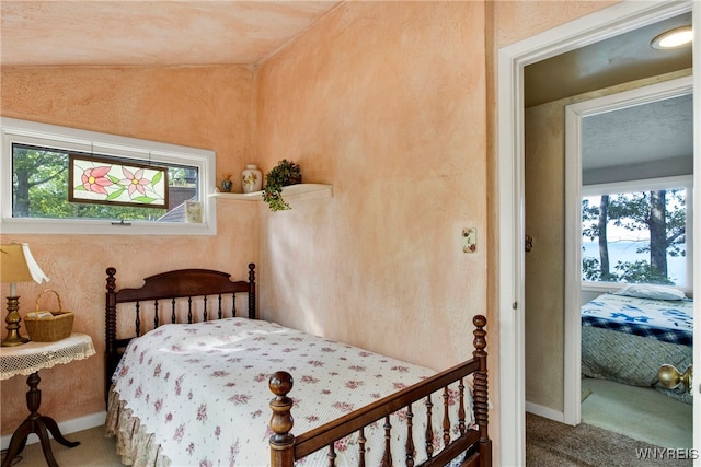 carpeted bedroom with multiple windows