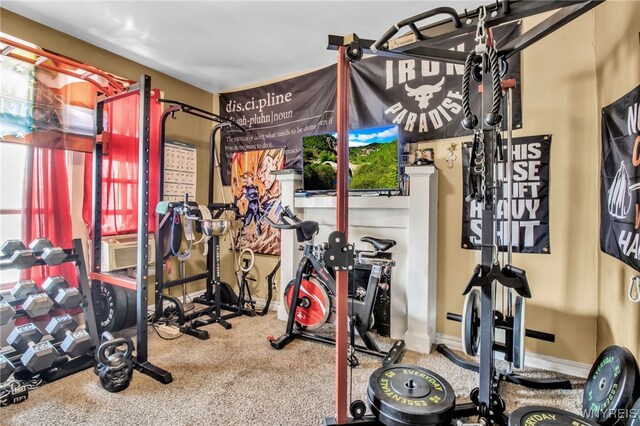 exercise room featuring carpet floors