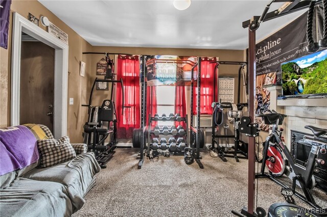 exercise room featuring carpet