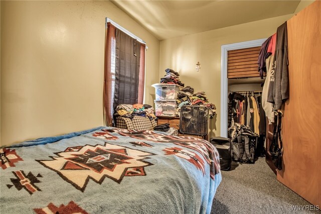 bedroom with carpet floors and a closet