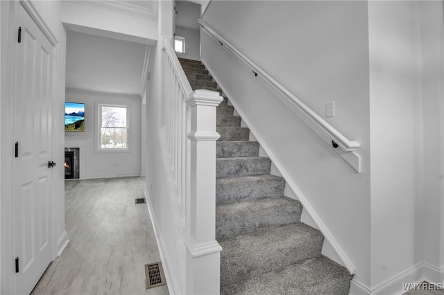 stairs featuring wood-type flooring