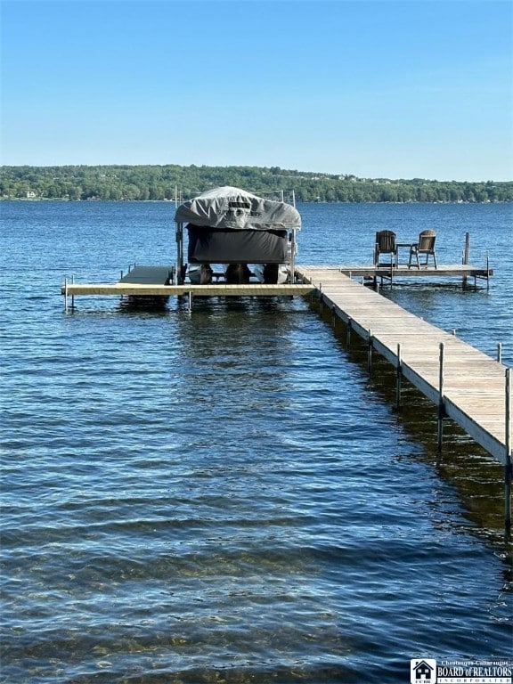 dock area featuring a water view