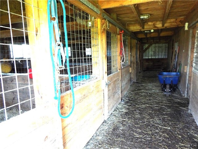 view of horse barn