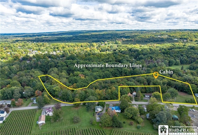 0 Chestnut St, Westfield NY, 14787 land for sale