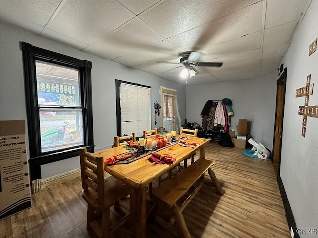 dining room with ceiling fan, hardwood / wood-style flooring, and a paneled ceiling