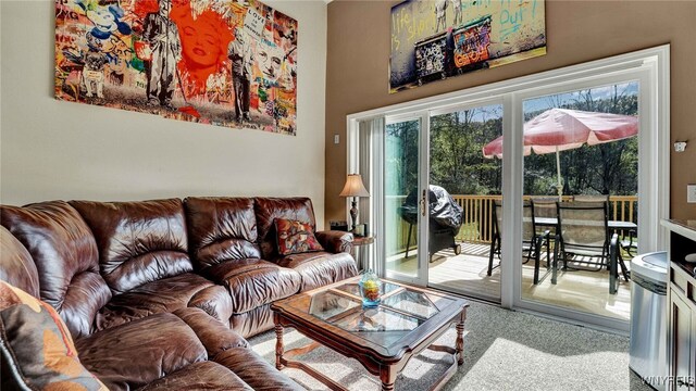 6331 Rte 242 E, Ellicottville, NY 14731 - photo 8