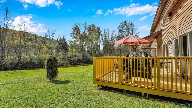 6331 Rte 242 E, Ellicottville, NY 14731 - photo 43