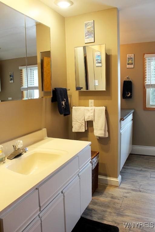 bathroom with sink, a wealth of natural light, and wood-type flooring