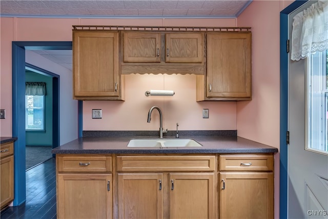 kitchen featuring ornamental molding, dark hardwood / wood-style floors, and sink